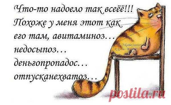 (39) Одноклассники