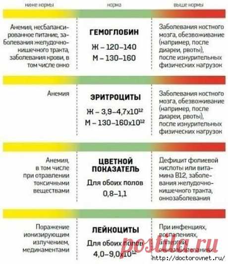 О чем говорит анализ крови человека