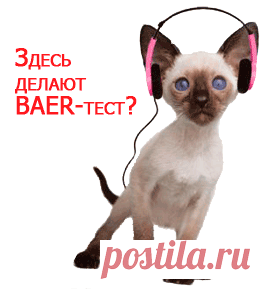 Кормление кошек