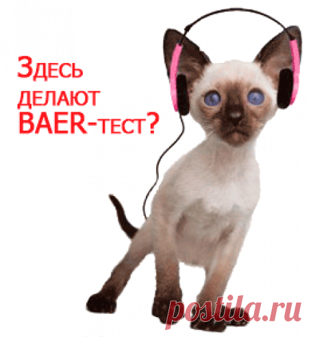 Кормление кошек