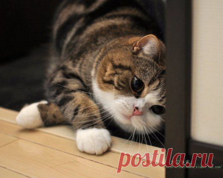 Берегите природу