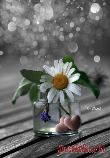 Google+