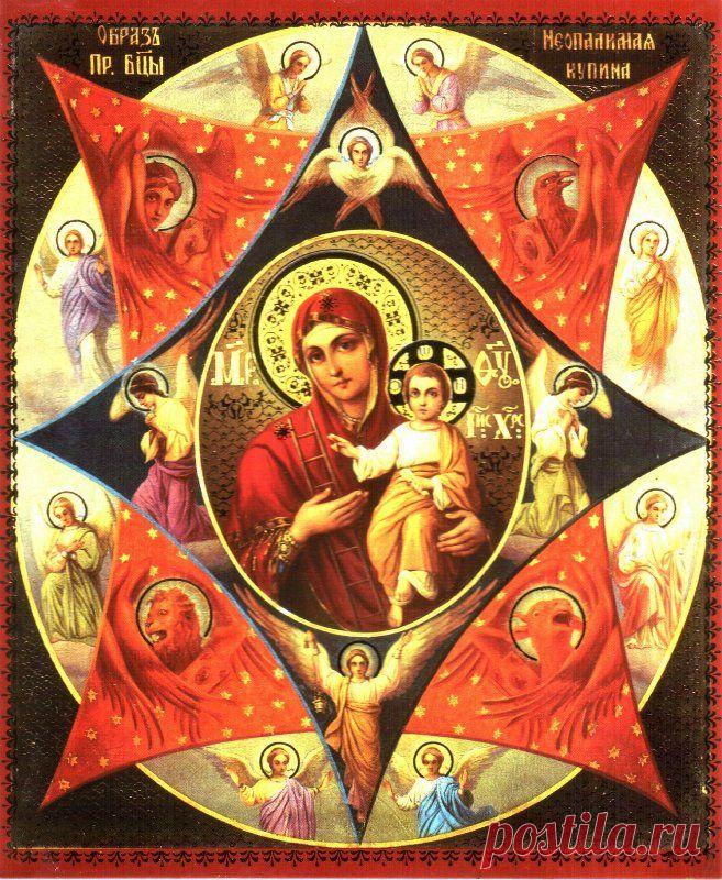 «Неопалимая Купина» чудотворная икона Божией Матери - одна из самых популярных в России в 16-19 веках чудотворных икон Богоматери, почитавшаяся как защитница от стихийных бедствий, особенно от пожара. В основе ее изображения — библейский рассказ о явлении пророку Моисею на горе Хорив (Синай) горящей, но не сгорающей купины (куста), истолкованный богословами как прообраз Богоматери. 
=eda84e13c3cb.jpg (657×800)