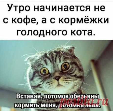 Фото дня