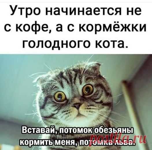Фото дня