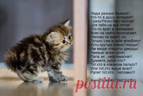(61) Одноклассники