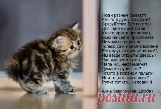 (61) Одноклассники