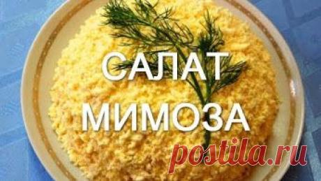 Видеоуроки на разные темы онлайн – Сообщество – Google+