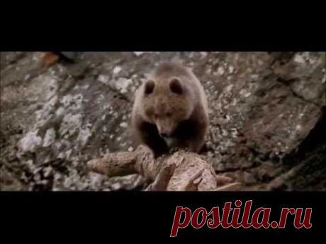 Стой до конца и не вздумай сломаться