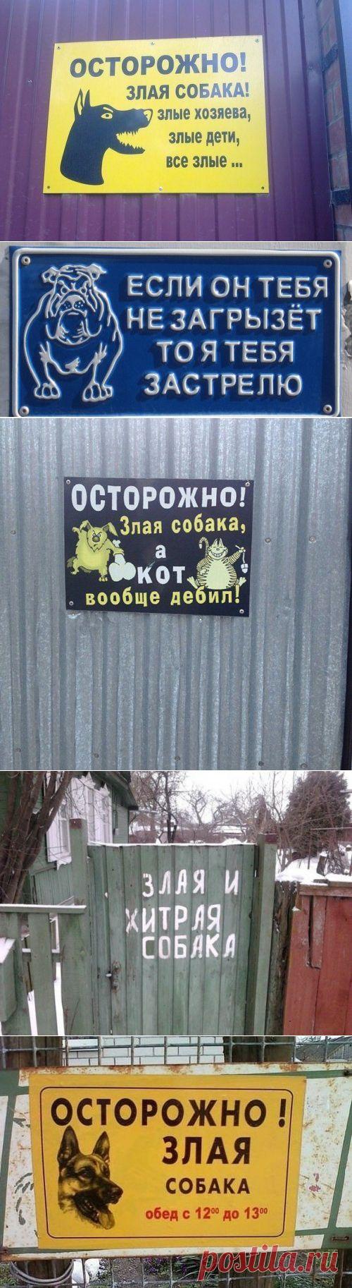Смешные и забавные таблички-предупреждения о собаках во дворе (17 фото)