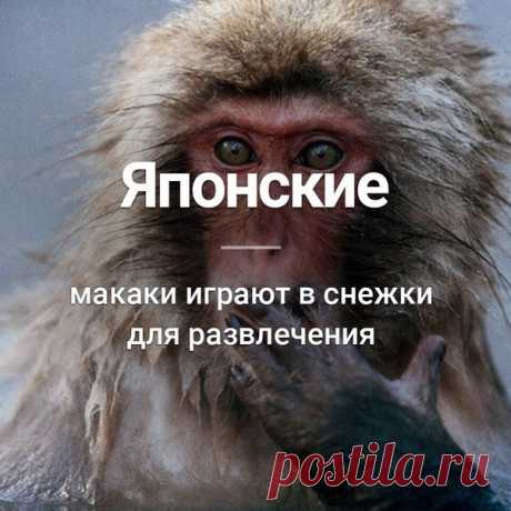 Узнай сегодня