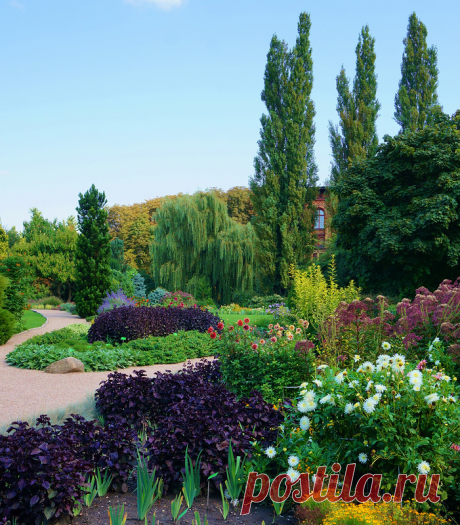 Ботанический сад университета Вроцлава. Польша