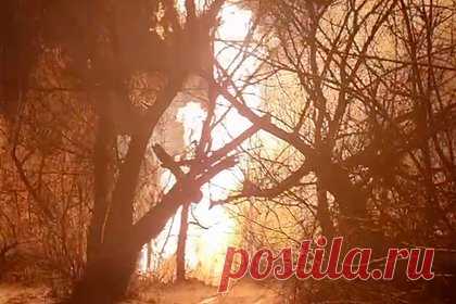 В ЛНР назвали предварительную причину взрыва на магистральном газопроводе. Подрыв мог стать причиной взрыва, произошедшего на магистральном газопроводе в городе Лутугино. В МЧС ЛНР высказали предположение, что именно подрыв стал причиной взрыва и возгорания на местном газопроводе. В ведомстве также рассказали, что без газоснабжения остались 13 315 абонентов.