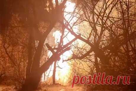 В ЛНР назвали предварительную причину взрыва на магистральном газопроводе. Подрыв мог стать причиной взрыва, произошедшего на магистральном газопроводе в городе Лутугино. В МЧС ЛНР высказали предположение, что именно подрыв стал причиной взрыва и возгорания на местном газопроводе. В ведомстве также рассказали, что без газоснабжения остались 13 315 абонентов.