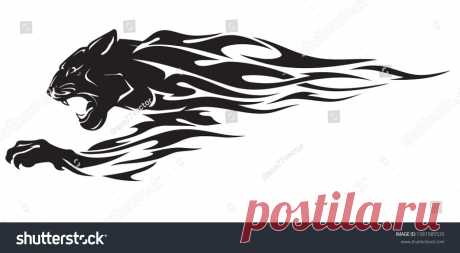 Animals | Studio77 FX vector: коллекция стоковых фотографий и изображений | Shutterstock