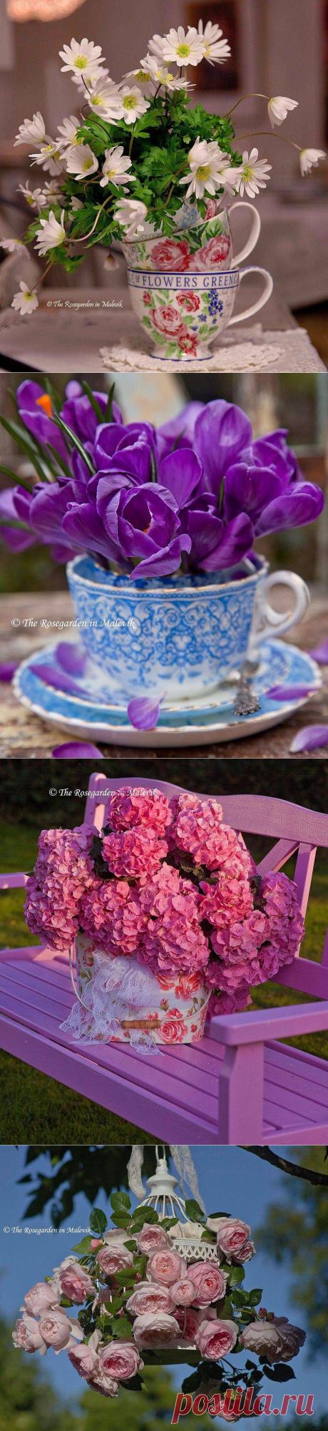 Прекрасные цветы