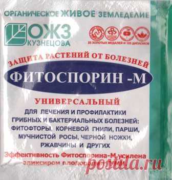 Биопрепараты для винограда, принципы применения | Дача - впрок