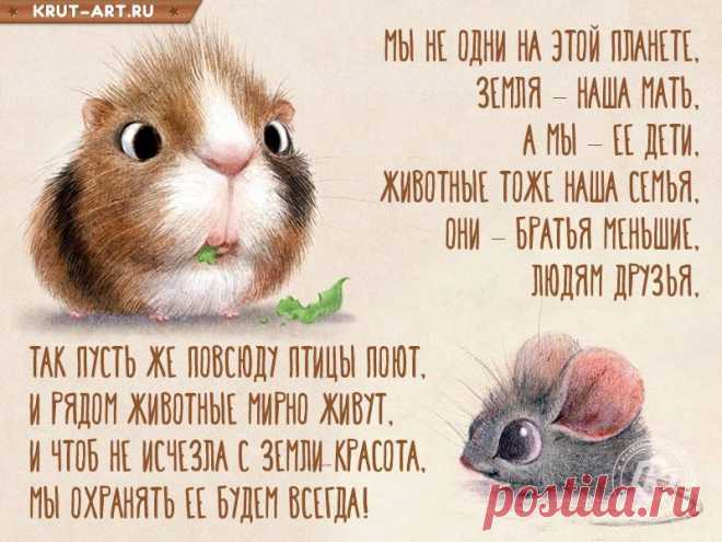 Своих питомцев берегите.
Зачем ругать по пустякам?
Всегда вкуснее их кормите,
Они же радость дарят нам! Открытки на День защиты животных.