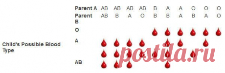 Blood Type Chart: Facts &amp; Information on Blood Group Types - Disabled World