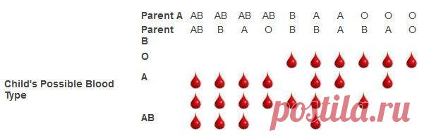 Blood Type Chart: Facts & Information on Blood Group Types - Disabled World