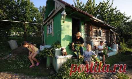 Приготовьтесь, садоводы!