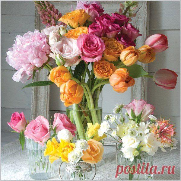 Найдено на сайте hestiloh.blogspot.com.br.