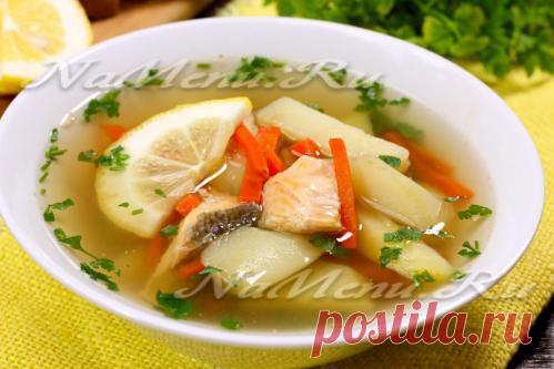 Суп с консервированной рыбой, рецепт