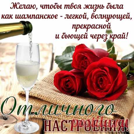 Я пожелаю много счастья,
Чтоб за окном прошли ненастья,
Чтоб Вас улыбки окружали,
Чтоб в жизни не было печали.