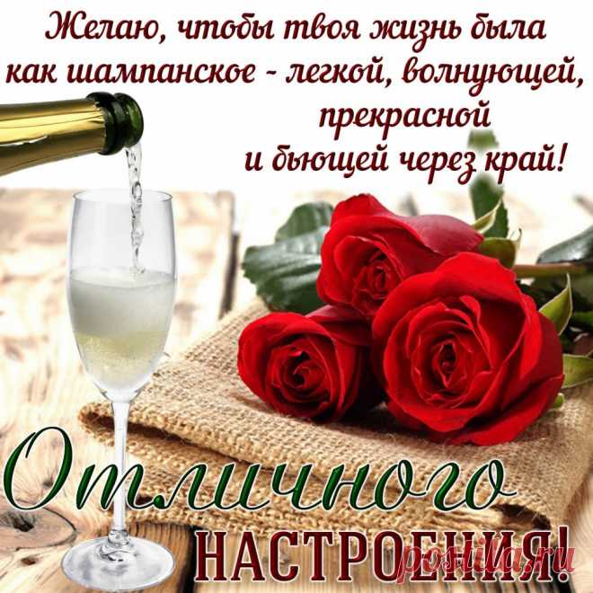 Я пожелаю много счастья,
Чтоб за окном прошли ненастья,
Чтоб Вас улыбки окружали,
Чтоб в жизни не было печали.