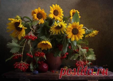 «Натюрморты Цветы фото» — карточка пользователя Татьяна в Яндекс.Коллекциях