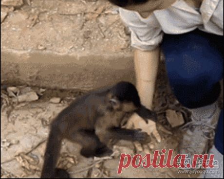 ЖИВЫЕ ФОТОГРАФИИ. AMAZING GIF – Google+