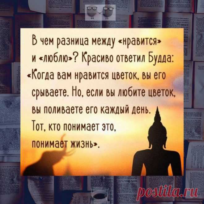 Дежурный по части докладывает командиру: — Товарищ полковник! За время моего дежурства ничего существенного не произошло. Только кобель сдох. — Почему кобель сдох? — Конины объелся. — Откуда конина? — Мерина застрелили. — Зачем? — Загнали. Воду возили. Был пожар — штаб сгорел. — С этого бы и надо начинать!... — Я с этого и начал докладывать вашему заместителю, так он сразу помер. - Выпуск №2134 — Вокруг смеха