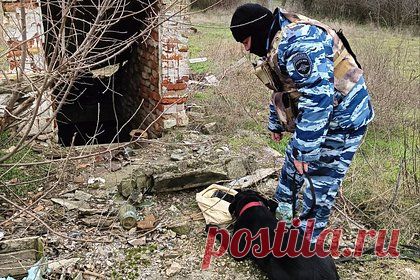 Росгвардейцы и полицейские с собакой обнаружили схрон в Запорожской области. В Запорожской области полицейские нашли схрон с боеприпасами Вооруженных сил Украины (ВСУ). Сотрудники кинологической службы полиции с собакой по кличке Тери и коллегами из Росгвардии узнали местонахождение тайника. Он находился в заброшенном строении в окрестностях поселка Долинское Мелитопольского района.