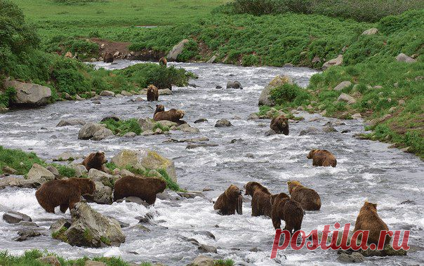 Клуб National Geographic Россия