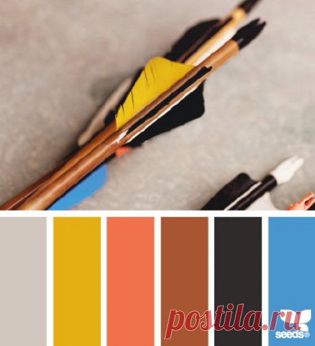 Design Seeds® | for all who ❤ color
Сочетание цвета
