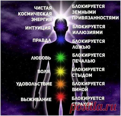 ANNA ANIMA - Публикации