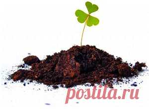 Как приготовить почву для рассады - помидоров, перца, огурцов Главное правило при подготовке почвы для рассады – это ее многосоставность. Опыт показал, что чем больше почвосмесь для рассады содержит компонентов, тем увереннее можно быть в получении здоровых и крепких сеянцев.