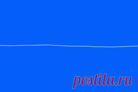 Не отрывая руки / Всё самое лучшее из интернета