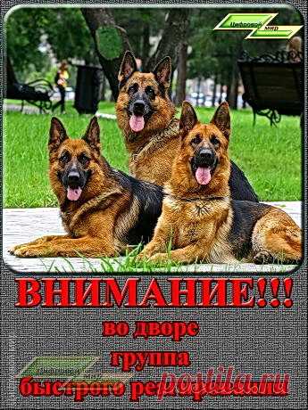Ко Дню защитника – Блог. Run, пользователь Марина Николаева | Группы Мой Мир