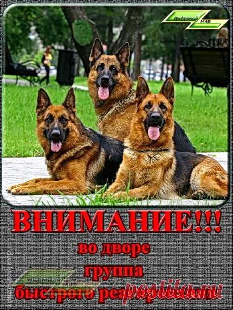 Ко Дню защитника – Блог. Run, пользователь Марина Николаева | Группы Мой Мир