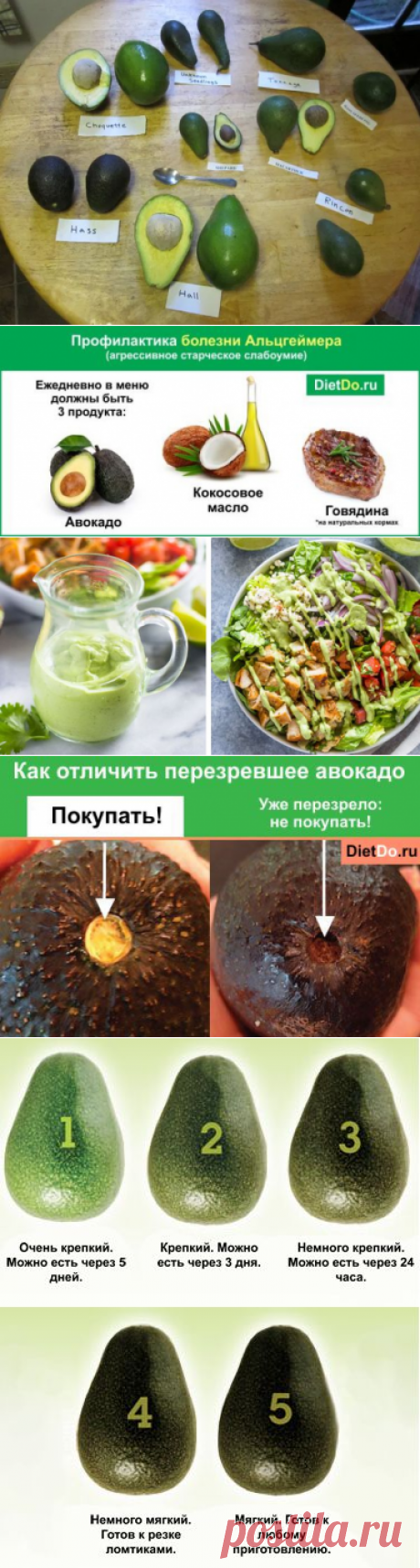 Авокадо — польза и вред для организма, состав, калорийность, как чистить, готовить, правильно выбрать спелый и хранить