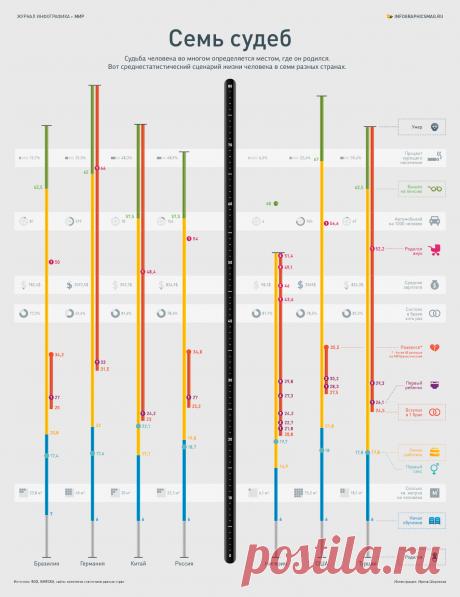 Инфографика о судьбах