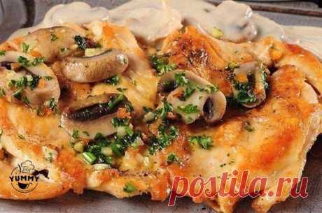 5 рецептов блюд с шампиньонами