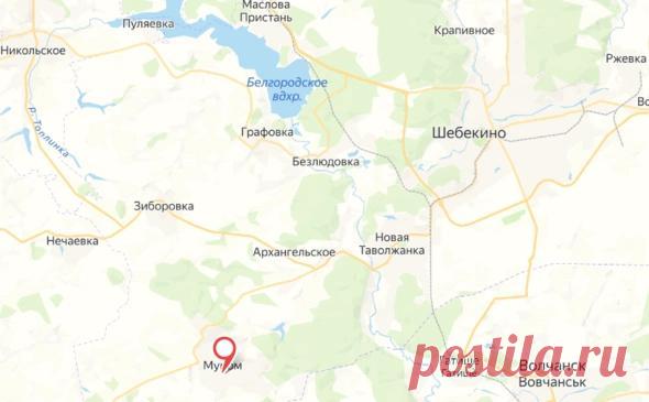 Гладков сообщил о пострадавшей после обстрела села Мурома. Одна женщина пострадала в результате обстрела с украинской стороны села Муром Шебекинского городского округа в Белгородской области.