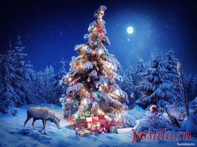 Сказка новогодняя