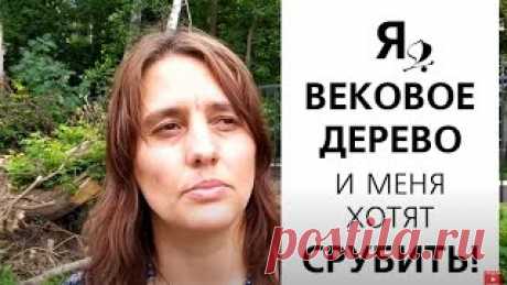 Общественная палата Мытищи Повторное голосование за кандидатов Что может ОП? Елена Черкасская - кандидат в Общественную палату от прибрежной полосы Яузы, жителей Перловки, Тайнинки и Новомытищинского проспекта 
