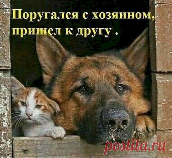 f8684c4d.jpg (552×507)