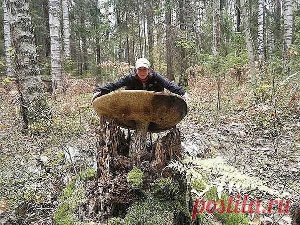 Удивительное и Невероятное