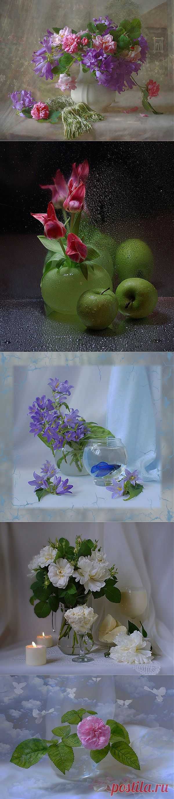 Фотонатюрморты / Fotonatyurmorty.