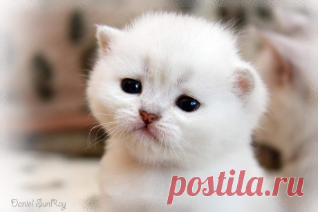)))))))))))))))))))))))))))))))))))))))))))))))))))